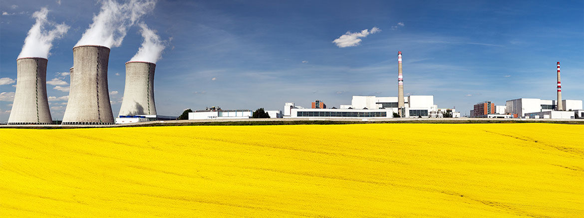 Agriculture Industries, Agriculture Solutions