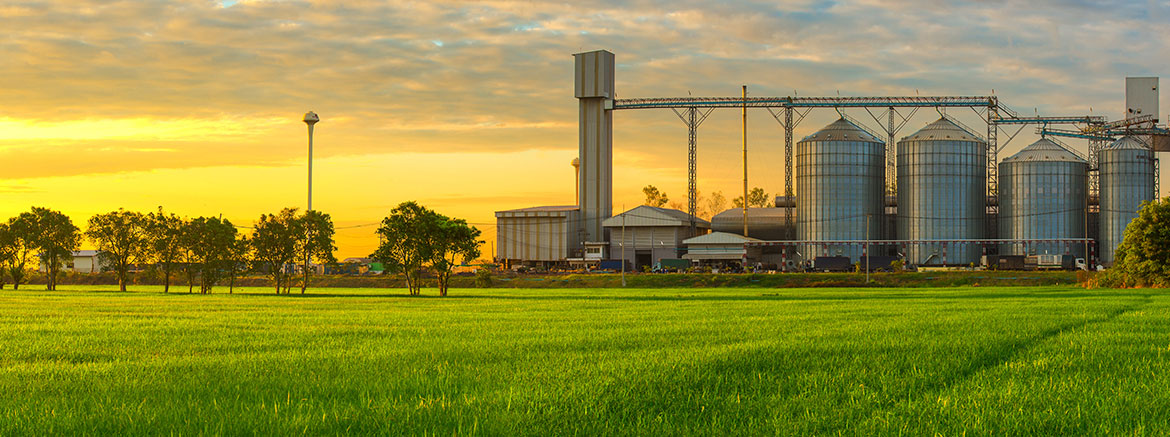 Food Processing Solutions, Sanitary Pumps, Progressive Cavity Pumps, Apex Services